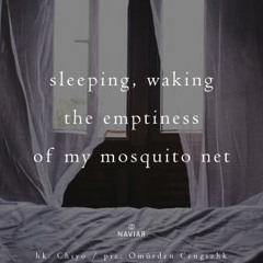 sleeping, waking ( Naviarhaiku 324 )