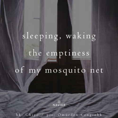 sleeping, waking ( Naviarhaiku 324 )