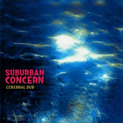 Semi-Auto Dub (Cover)