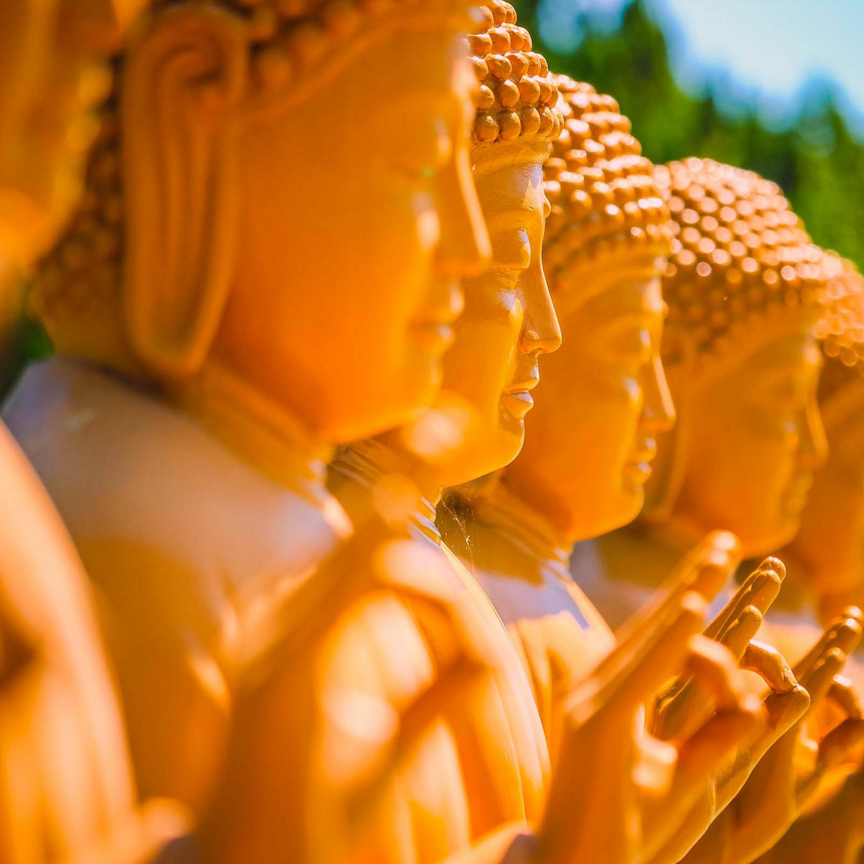 Ep. 310 Riflessioni sul Vesak e i suoi mantra episode artwork