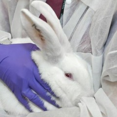 White Coat Killers (Ft. Mortalblade)