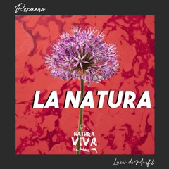 Luces de Marfil (Original Mix) @ Natura Viva