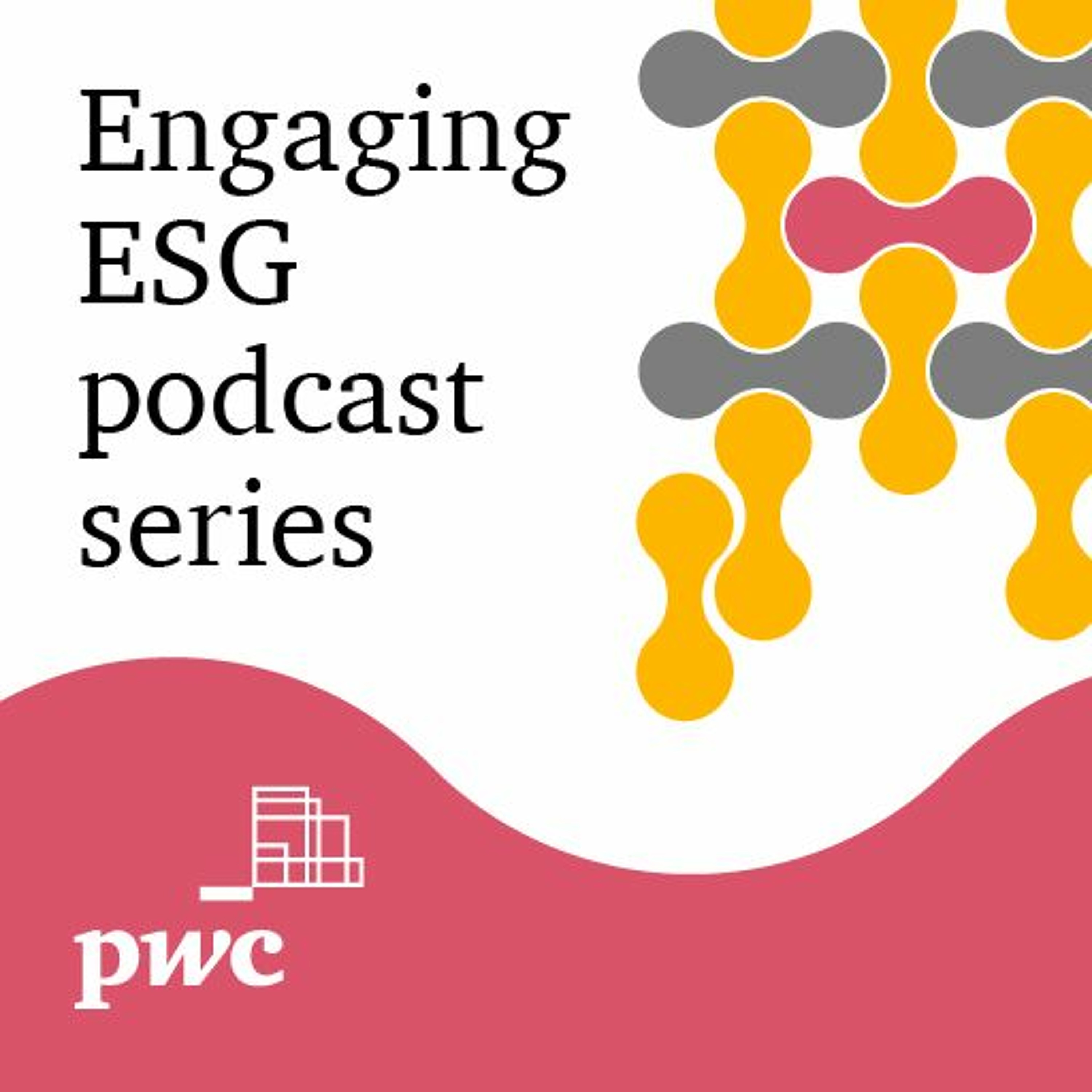PwC Africa Podcasts