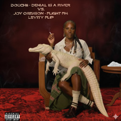 Cocaine Inside My Blunts x Denial Is A River vs. Flight FM (Crus)