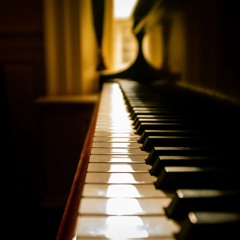 Champignons - My Silent Joy