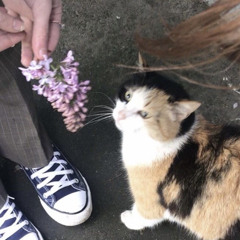 어려워