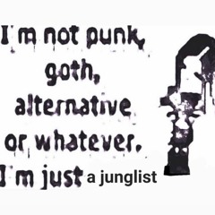 I'm not a punk, goth, alternative, or whatever. I'm just a junglist