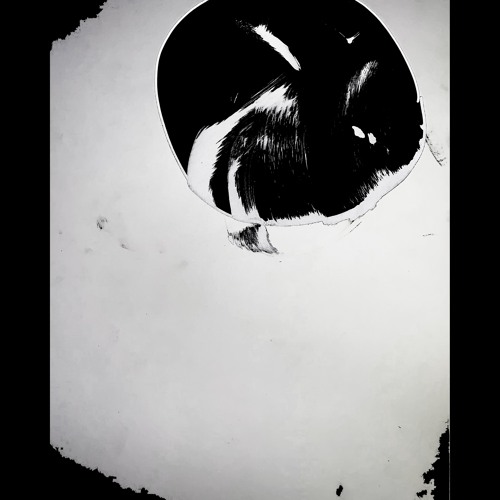 10.1.23