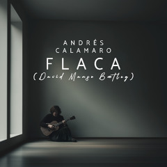 Andrés Calamaro - Flaca (David Manso Bootleg) PREVIEW
