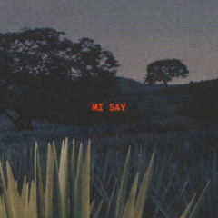 MI SAY