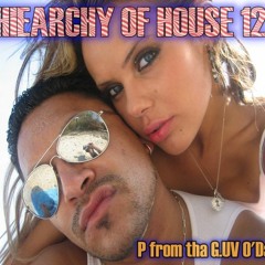 THE BEST SUMMER HOUSE FUNKY DISCO ANTHEMS CIRCA 98-2008 HIEARCHY OF HOUSE 12 DISC 1