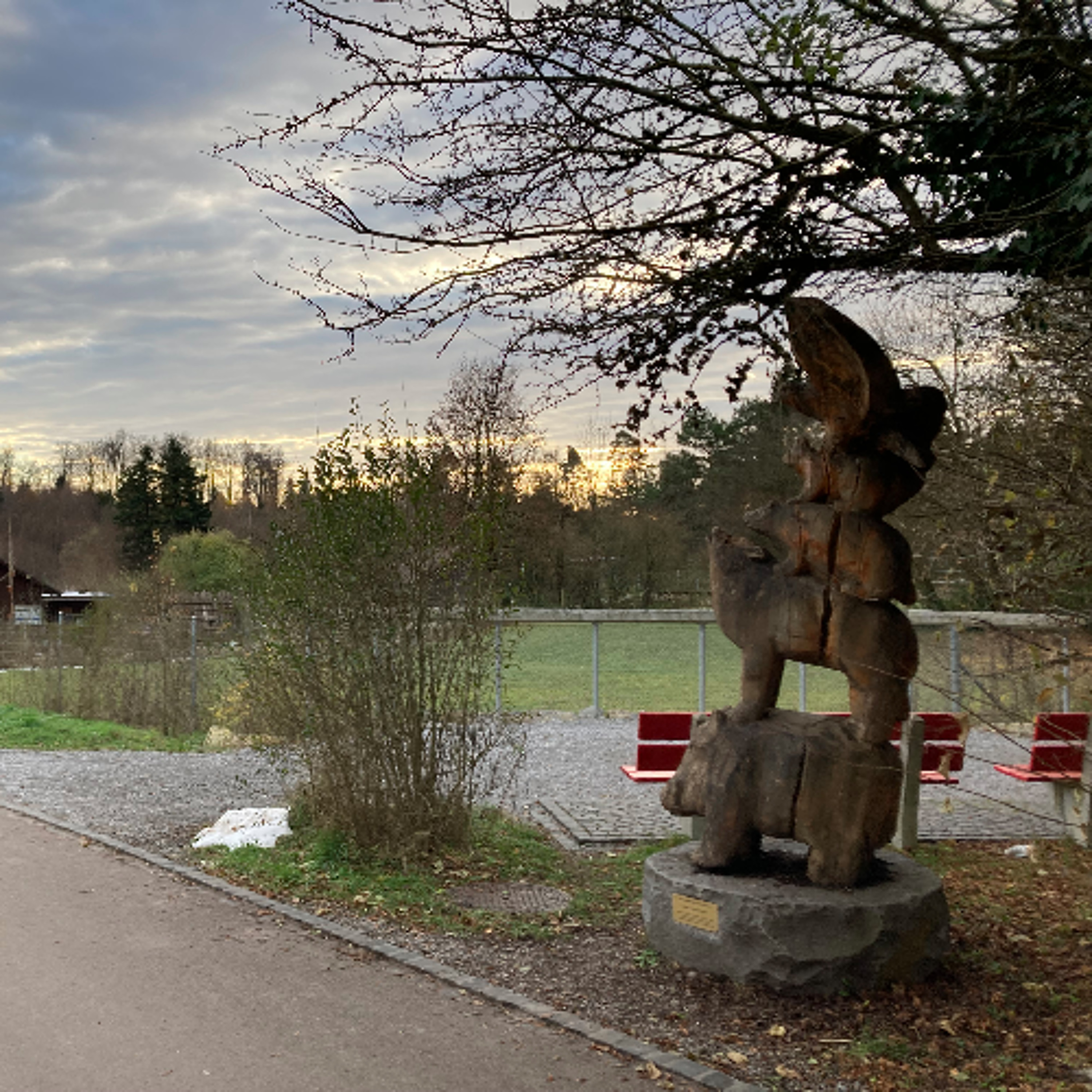 Wildtier-Oase im Eschenbergwald (04.12.2024)