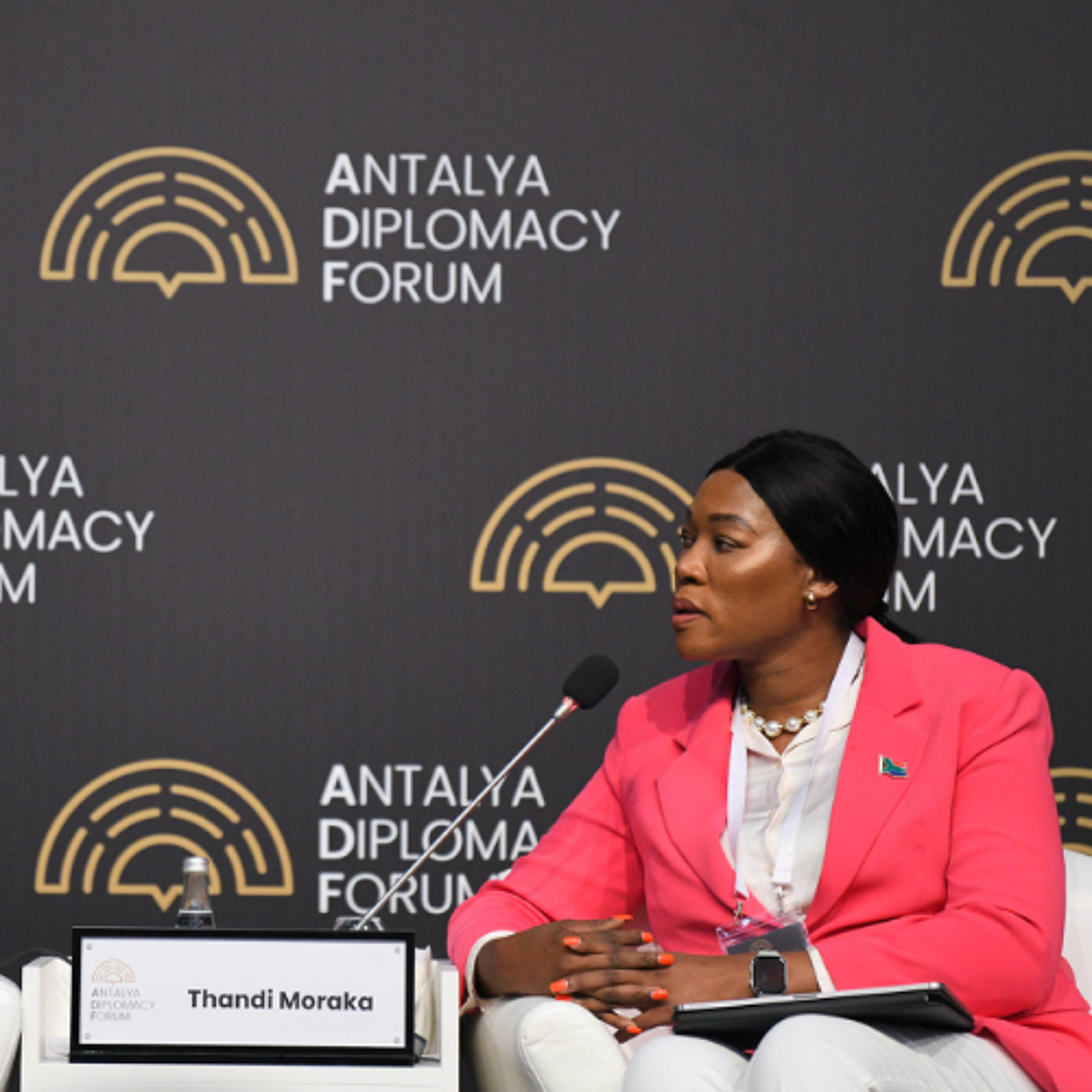 Deputy Minister Thandi Moraka participates in a Panel Discussion: “What Role can the Global South play in Effective Multilateralism”