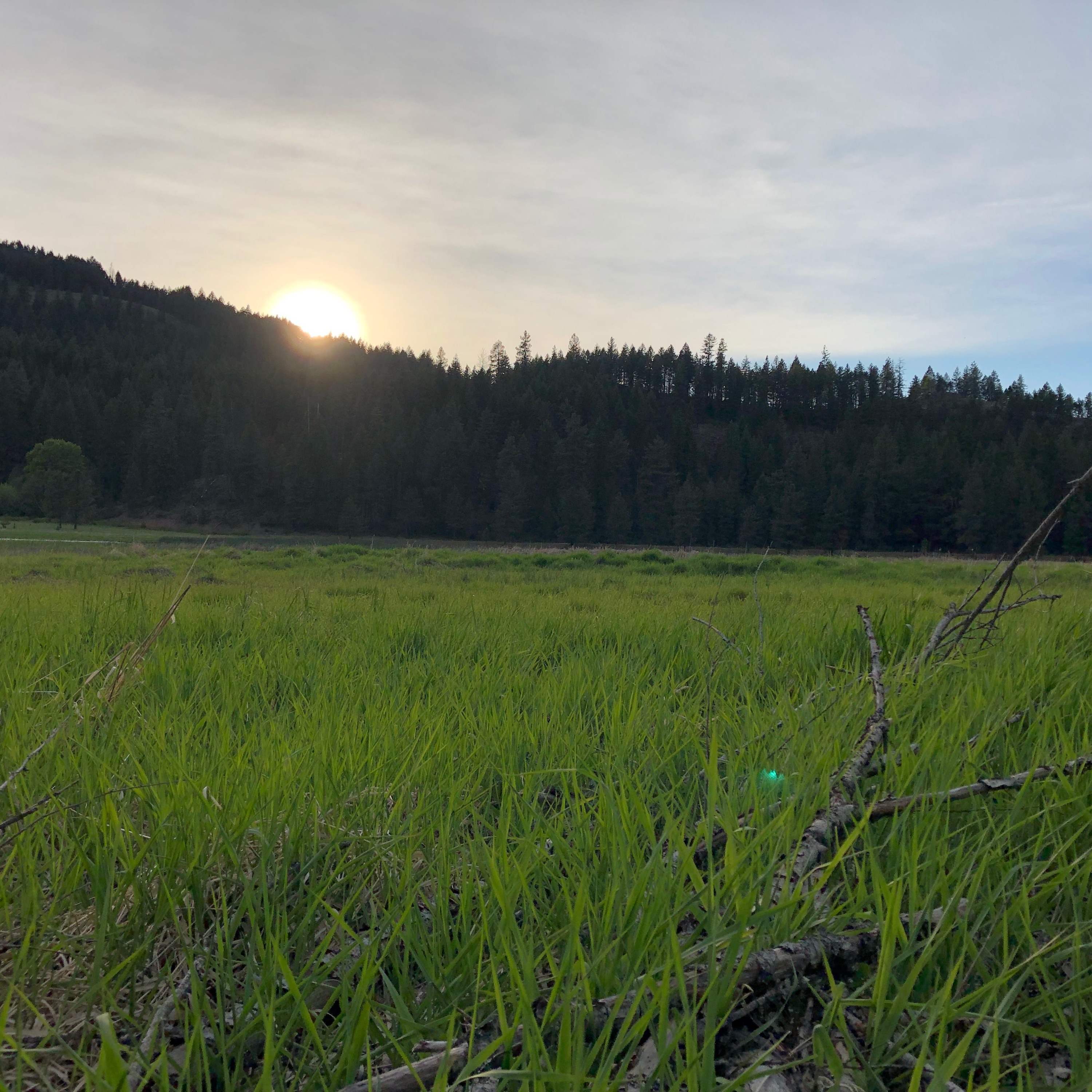 Northwest Soundscapes