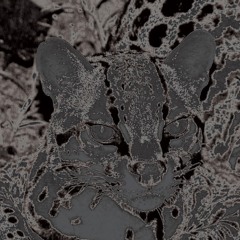 Jo-Hann - cookiethumpr