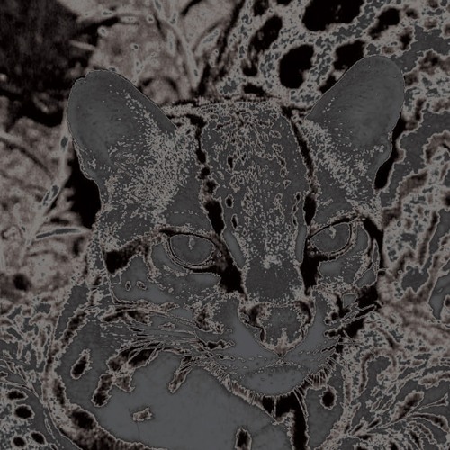 Jo-Hann - cookiethumpr