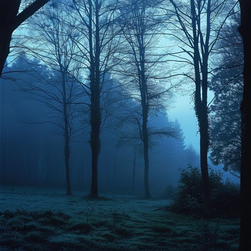 nostalgic lullaby w/Swik