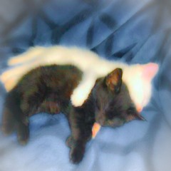 ctrlfreak - when it's cold