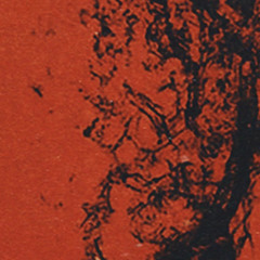 Premiere: Arsankhan - Blik [Earthly Delights]