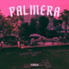 YGW RICO - Best Friend (Palmera EP)