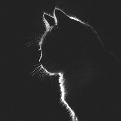 Mamacat (Demo)