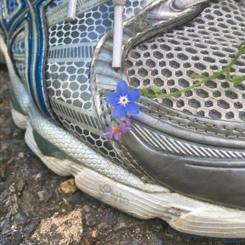 ⠀⠀⠀⠀⠀⠀⠀⠀⠀⠀⠀