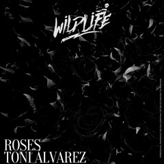 Toni Álvarez - Roses