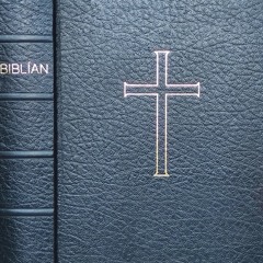 drottinn-hinn-óstöðvandi