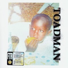 Toadman - Flag This Radio Mix