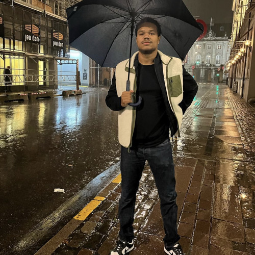 Lamin - Fremskridt leak