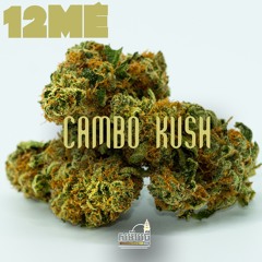 12ME "Cambo Kush"