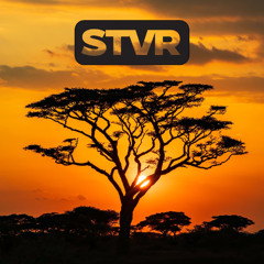 Tribal Pulse (Deep Afro Energy Mix)