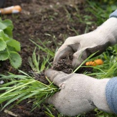 Vacant Lot Mowing Services
