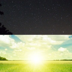 Night For Day