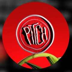 PITCH MUSIC & ARTS FESTIVAL 2024