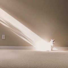 halsey - balenciaga (slowed)