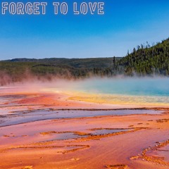 Forget to Love