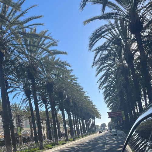 All i know (prod. agua)