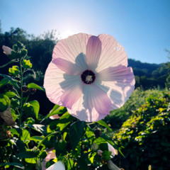 Improvisation_041225_For Magalie