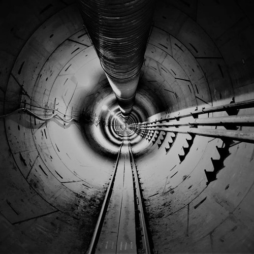 NEUROTROPIC ADVENTURES