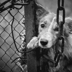 Tu Perdon (instrumental)