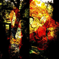 իմ հոգին և միջով / âme (prod. picsus4)