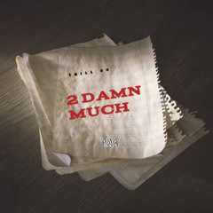 2 Damn Much