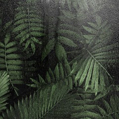 FIETS _CHIILEX SOUND REMIX[TRIBAL KUSH]