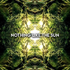 Nothing Like The Sun