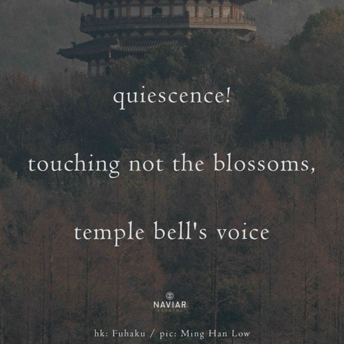 touching not the blossoms [naviarhaiku580]