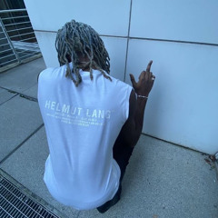 Helmut Lang(Feat. Sirhcevolew)