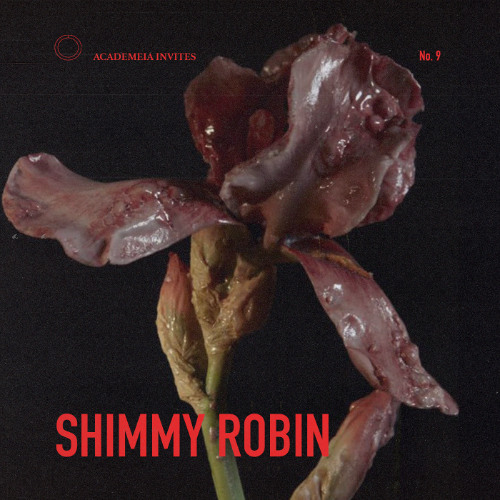 Academeia invites: Shimmy Robin | 009