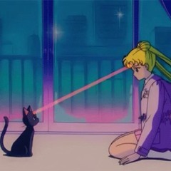 Sailor Cat Interpolation  Tyep Beat .