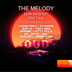THE MELODY ' EDM 2x25 PACK - DJ OVD [w Brother & Sister]